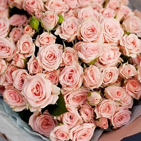 Букет из 35 нежно-розовых кустовых роз 40 см (Кения) в кремовой пленке