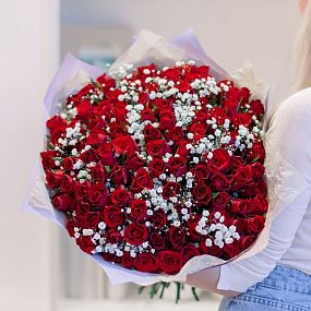 Букет из 101 красной розы 40 см (Кения) с белой гипсофилой в сиреневой пленке