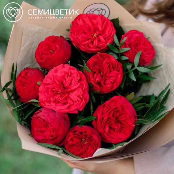 Букет из 9 красных пионовидных роз Red Piano 40 см с фисташкой