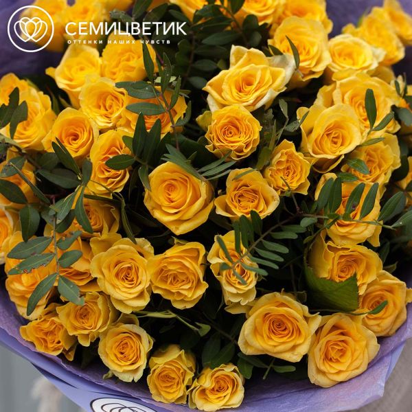 Букет из 51 желтой розы 35-40 см (Россия) с фисташкой