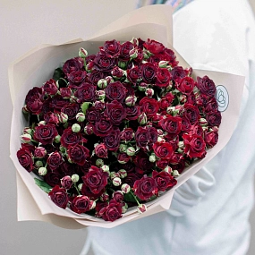 Букет из 15 красных кустовых роз 70 см (Россия) в кремовой пленке