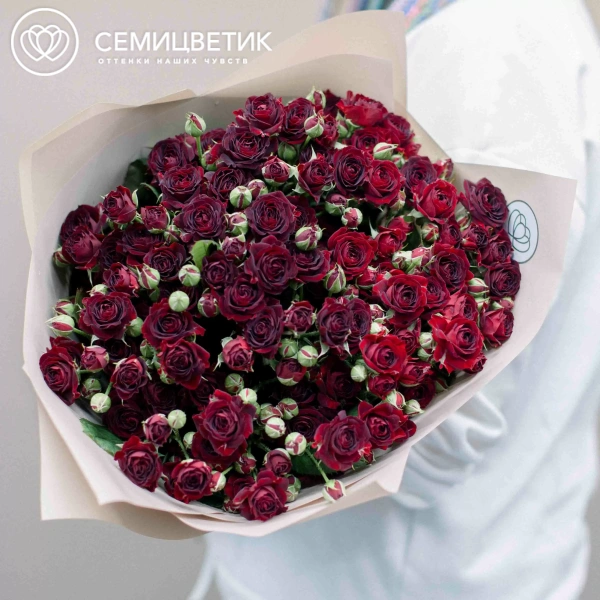 Букет из 15 красных кустовых роз 70 см (Россия) в кремовой пленке