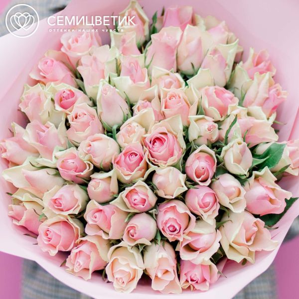 Букет из 35 розовых с фисташковой каймой роз 40 см (Кения)