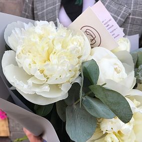 Букет из 5 белых пионов с зеленью Premium