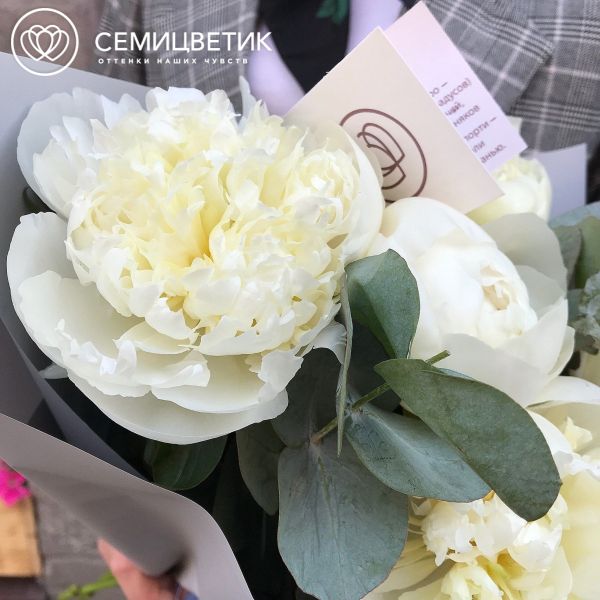 Букет из 5 белых пионов с зеленью Premium
