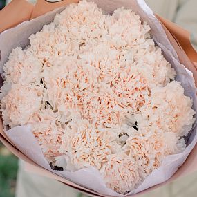 Мини-букет  из 15 кремовых гвоздик