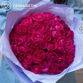 Букет из 45 малиновых роз 35-40 см (Россия) в сиреневой пленке