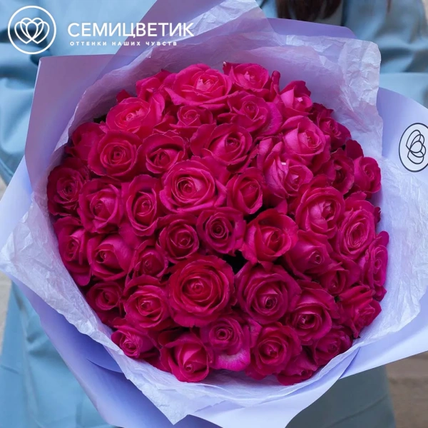 Букет из 45 малиновых роз 35-40 см (Россия) в сиреневой пленке