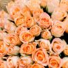 Букет из 51 персиковой розы (Кения) 40 см Standart