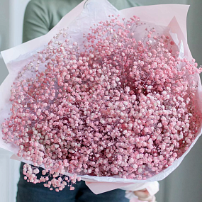 Монобукет  из 15 розовых гипсофил в розовой пленке