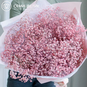 Букет из 15 розовых гипсофил в розовой пленке