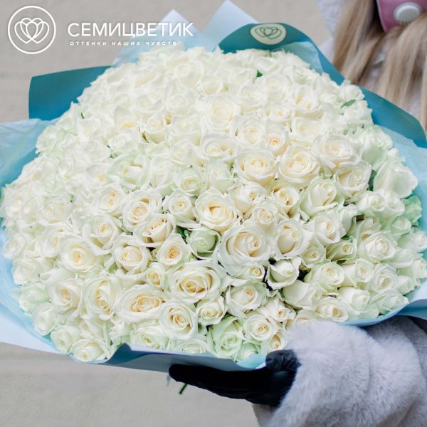 Букет из 151 белой розы 40 см (Россия).
