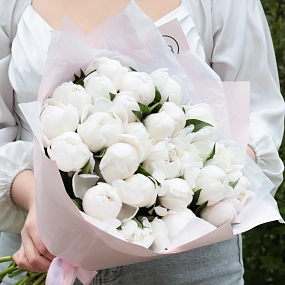 Букет из 25 нежно-розовых пионов Standart в голубой пленке