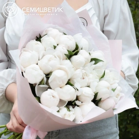 Букет из 25 нежно-розовых пионов Standart в голубой пленке