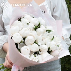 Букет из 25 нежно-розовых пионов Standart в голубой пленке