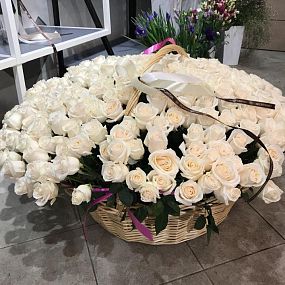 Композиция из 301 белой розы (Эквадор) в корзине