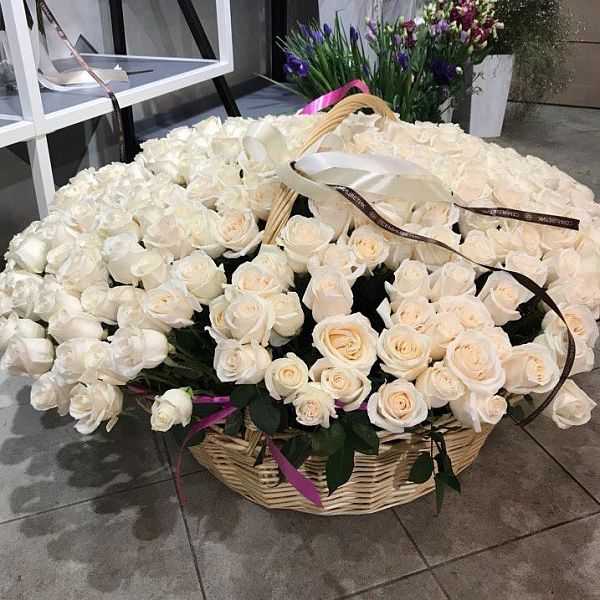 Композиция из 301 белой розы (Эквадор) в корзине