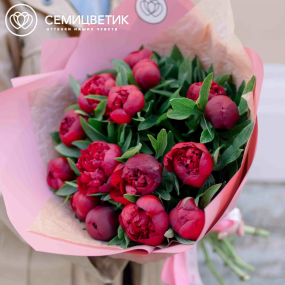 Букет из 15 бордовых пионов Standart в розовой пленке