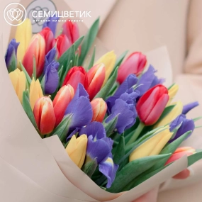 Букет из 15 ирисов и 20 тюльпанов в кремовой пленке