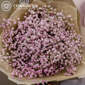 Букет из 7 розовых гипсофил в кремовой пленке