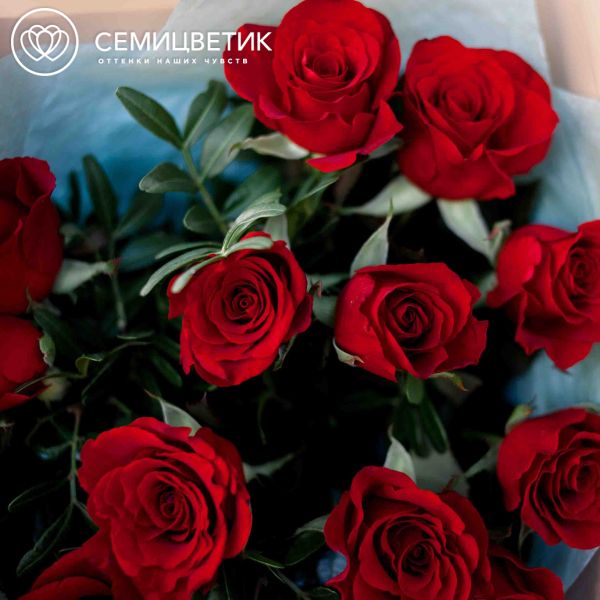 Букет из 15 красных с темной каймой роз Магия 35-40 см (Россия) с фисташкой