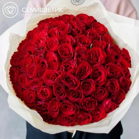 Букет из 65 красных роз 35-40 см (Кения) в кремовой пленке