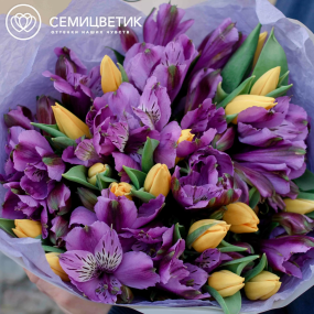 Букет из 16 желтых тюльпанов 40 см и 7 альстромерий в фиолетовых тонах в голубой пленке