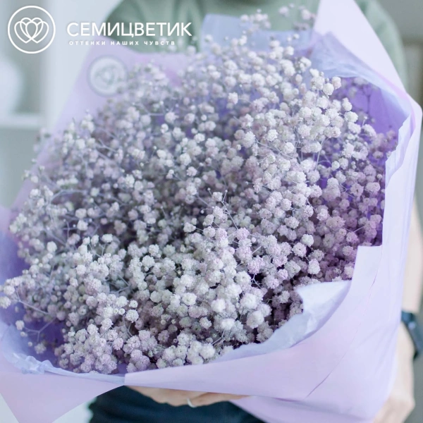 Букет из 15 сиреневых гипсофил в сиреневой пленке