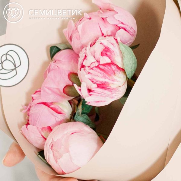 Букет из 5 розовых пионов Premium в кремовой пленке