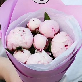 Букет из 7 розовых пионов Standart в розовой пленке