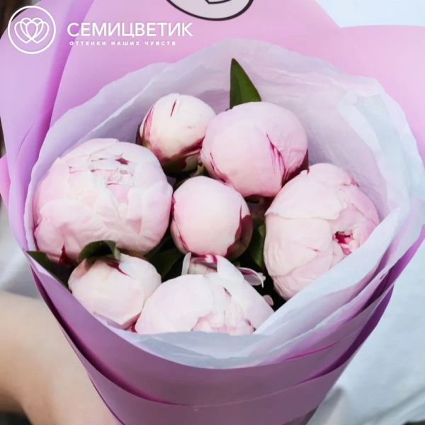 Букет из 7 розовых пионов Standart в розовой пленке