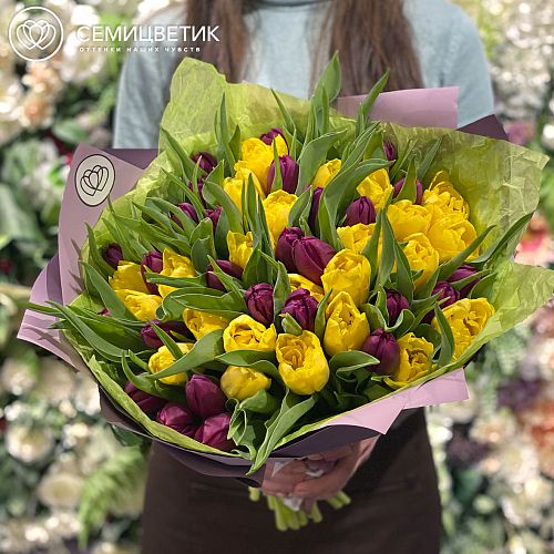 51 пионовидный желтый и фиолетовый тюльпан