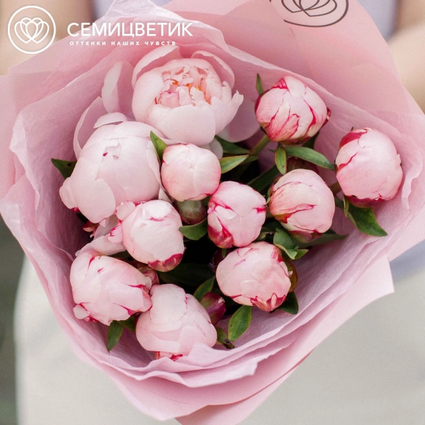 Букет из 11 розовых пионов Standart в розовой пленке