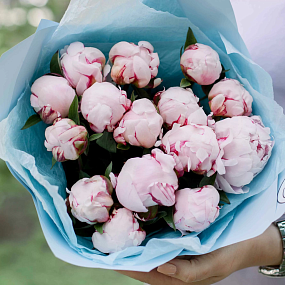 Букет из 15 розовых пионов Standart в голубой пленке