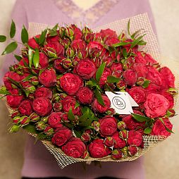 Букет из 51 красной кустовой пионовидной розы Red Piano 40 см с зеленью