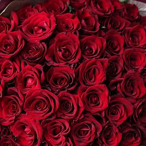 Букет из 51 красной розы Ever Red 60 см (Кения) в бордовой упаковке