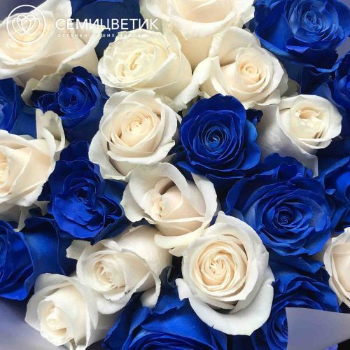 Букет из 25 белых и синих роз