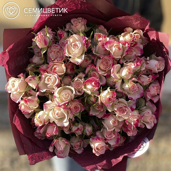 Букет из 15 белых с розовой каймой кустовых роз 40 см (Кения)