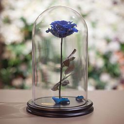 Синяя роза в колбе 33 см