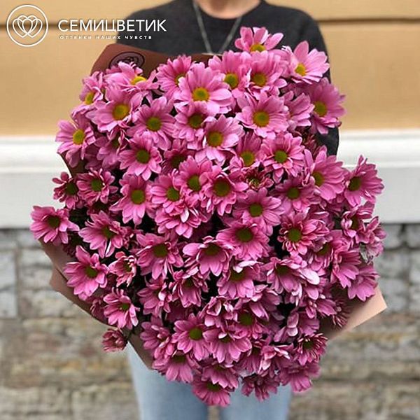 15 розовых кустовых хризантем в дизайнерской упаковке ZL