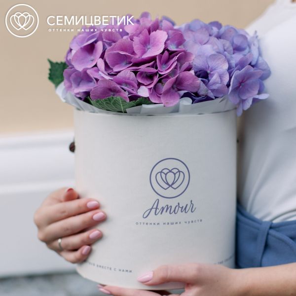 Букет в белой шляпной коробке Amour Mini из 3 сине-фиолетовых гортензий