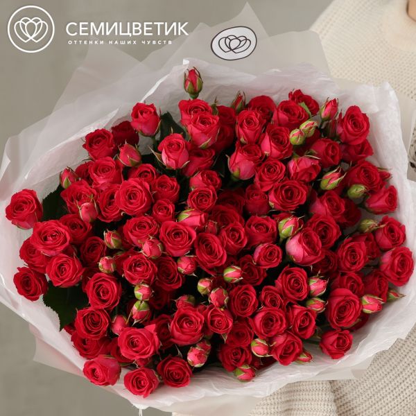 Букет из 25 малиновых кустовых роз 40-50 см (Россия)
