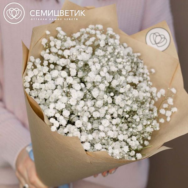 Букет из 7 белых гипсофил в упаковке