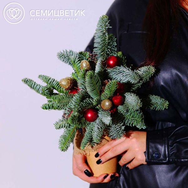 Композиция с елью в красных тонах в стакане