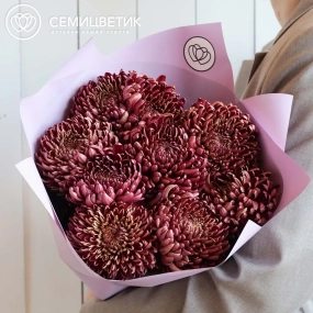 Букет из 9 одноголовых бордовых хризантем Бигуди в бордовой пленке