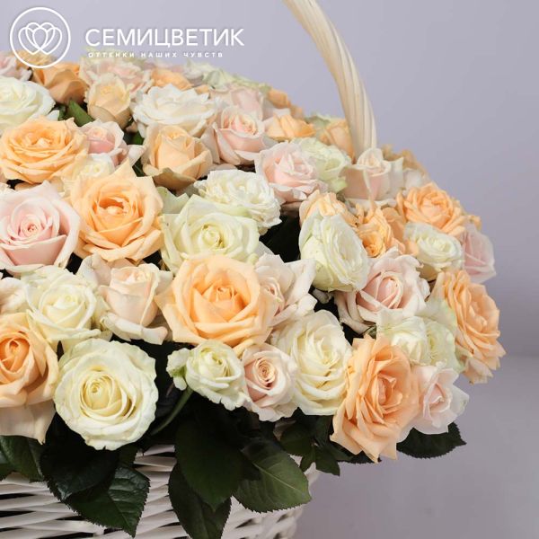 Композиция из 151 нежно-розовой, кремовой и белой розы (Россия) в корзине