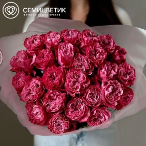 Букет из 25 малиновых пионовидных роз Country Blues 50 см (Эквадор)