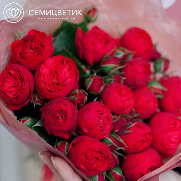 Букет из 15 красных кустовых пионовидных роз Red Piano 40 см