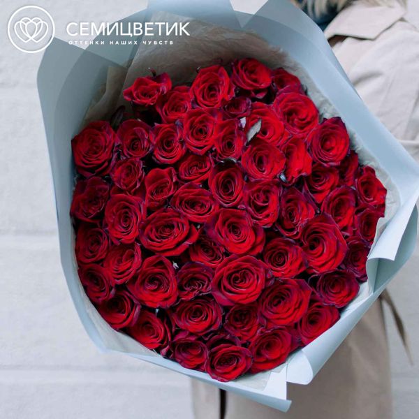 Букет из 51 красной с темной каймой розы Магия 60 см (Россия)