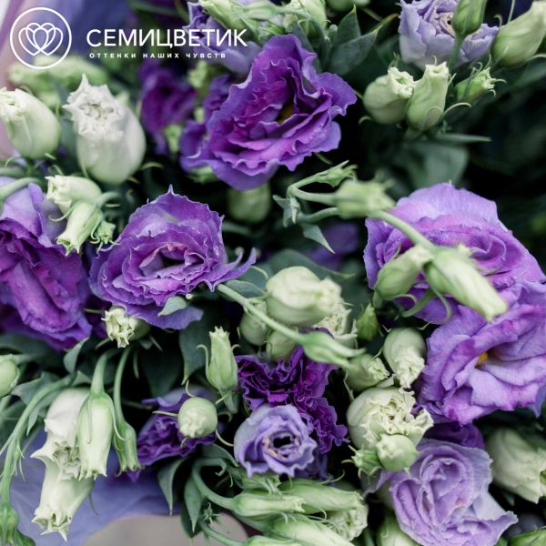 Букет из 15 фиолетовых лизиантусов